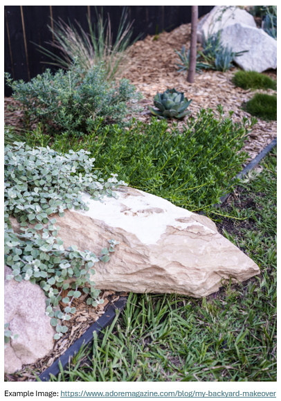 Xeriscapes Mix: Fill that Gap