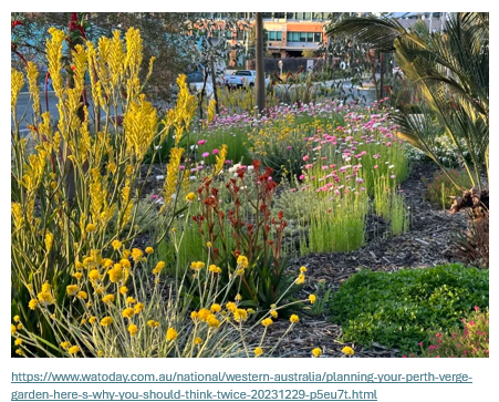 Xeriscapes Mix: Fill that Gap