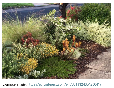 Xeriscapes Mix: Going Native