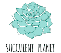 Succulent Planet